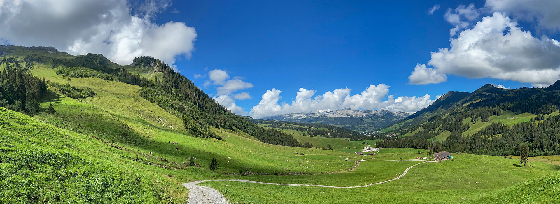 header-sommer-1