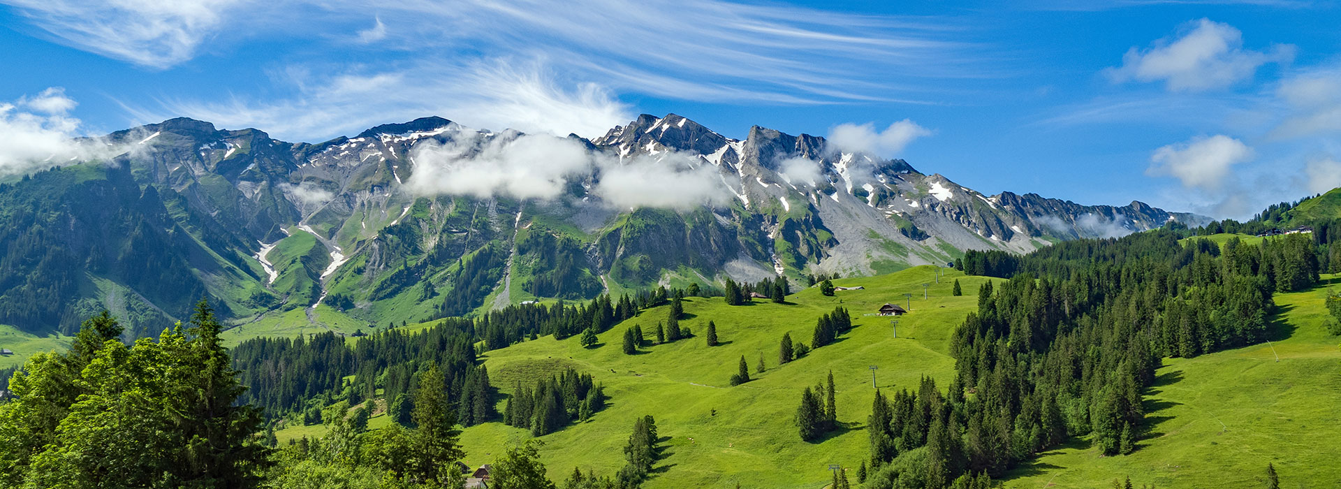 header-sommer-2