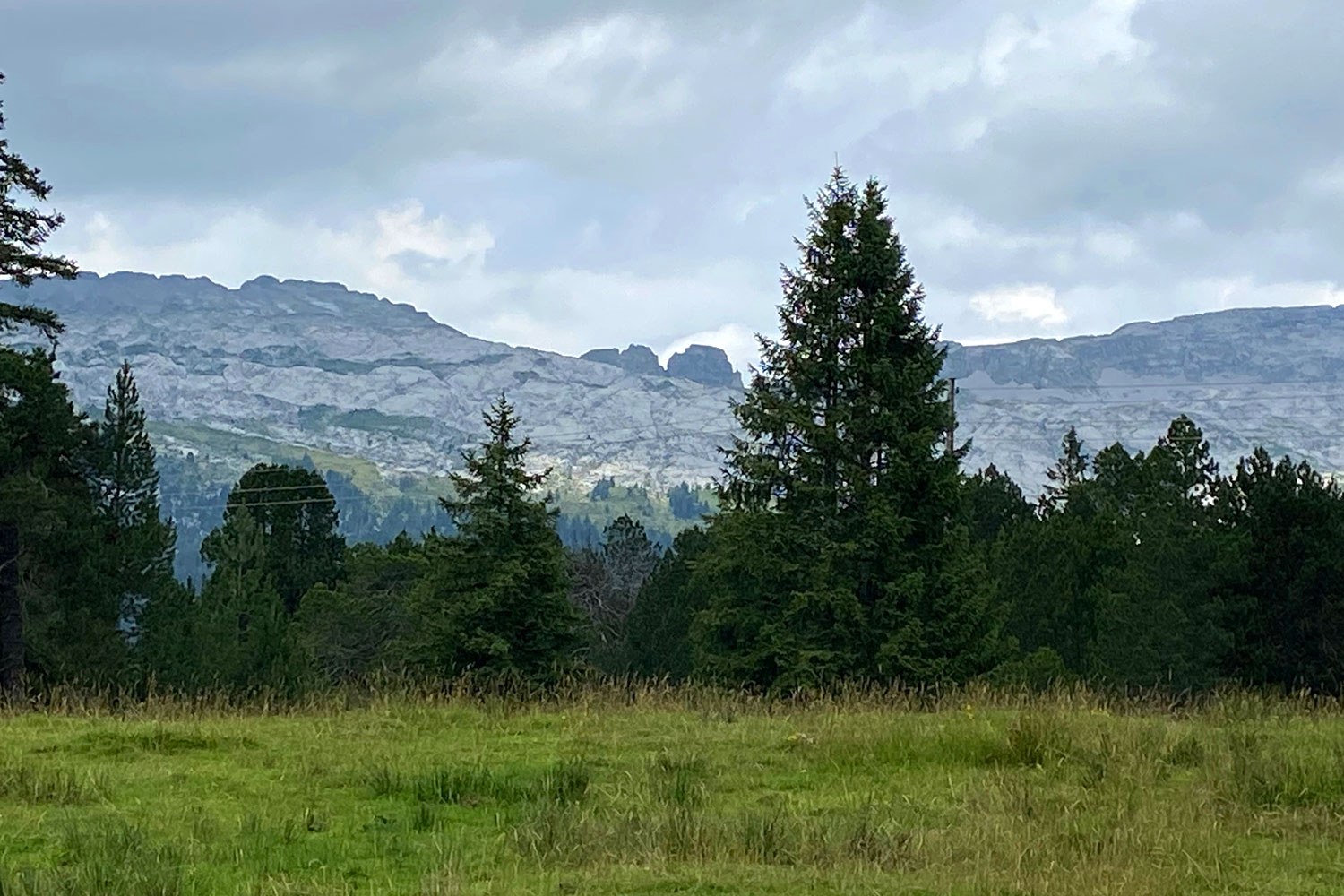 natur-soerenberg-hotel-rischli-3