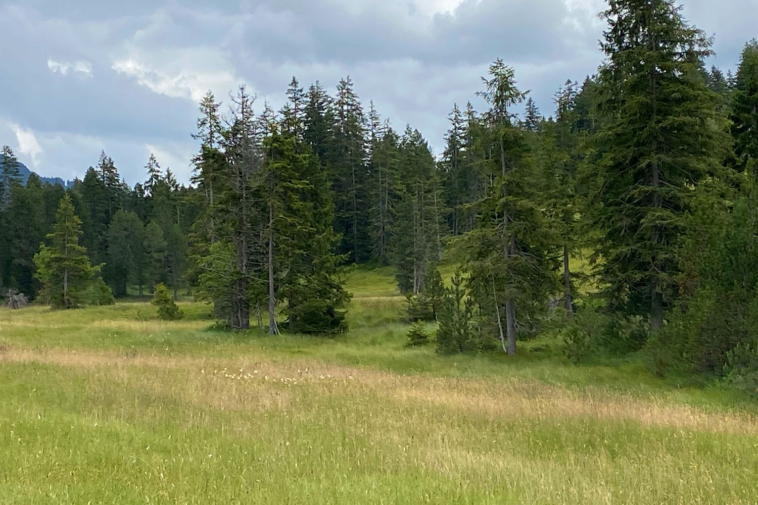 natur-soerenberg-hotel-rischli-4